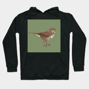 Sweet Fox Sparrow Hoodie